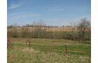 Property photo 4 - 137 Acres in 2 Tracts - 64 Tillable Acres, Potential Building Sites, Hunting